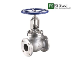 SS Globe Valve | SS 304/316 Flanged Fittings