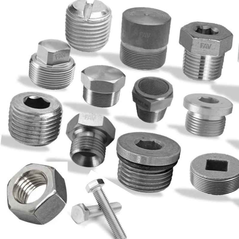 SS Fasteners