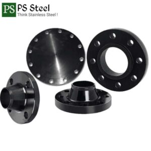 MS Pipe Flanges