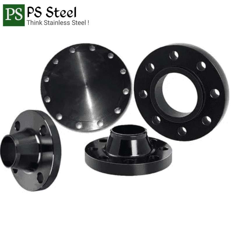MS Pipe Flanges