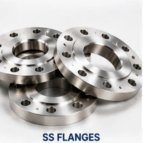 SS Flanges category