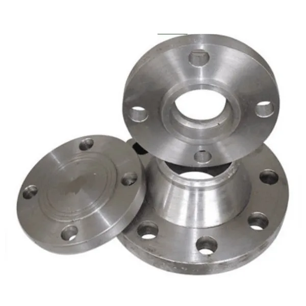 SS Flanges