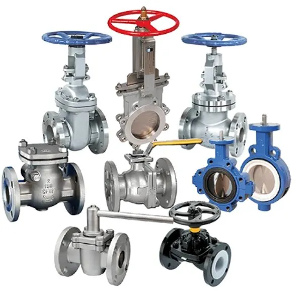 SS Valves